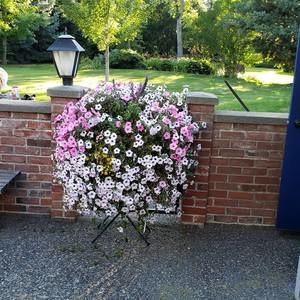 Meet your Posher, Mike